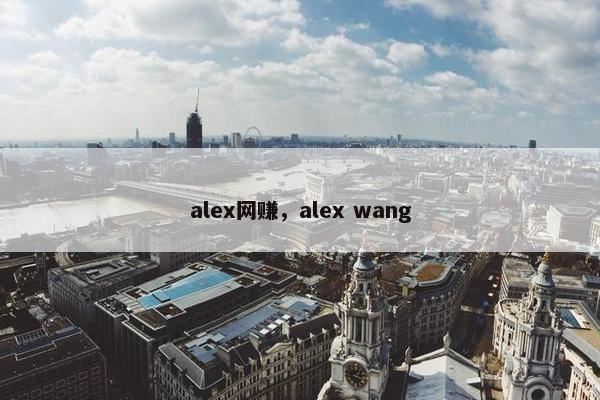 alex网赚，alex wang